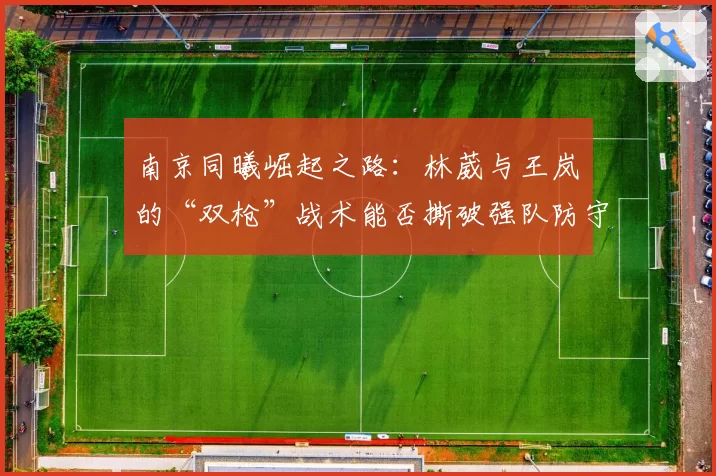 南京同曦崛起之路：林葳与王岚嵚的“双枪”战术能否撕破强队防守？