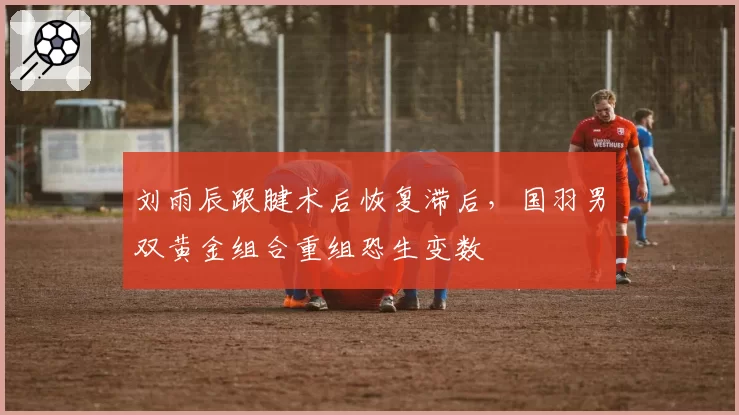 刘雨辰跟腱术后恢复滞后，国羽男双黄金组合重组恐生变数
